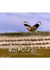 簷間戴勝飛DVD