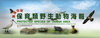 台灣地區保育類野生動物海報(1套7張)