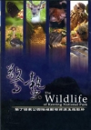 驚蟄-墾丁國家公園陸域動物資源生態影片(DVD)