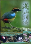 淺山傳奇-雲林湖本八色鳥野生動物重要棲息環境[DVD]