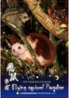 飛鼠樂園-頂笨仔聚落飛鼠保育全紀錄 [DVD]