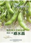 高雄區農技報導160期-毛豆用大豆新品種 高雄13號綠水晶