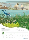 2023年海洋保育月曆-海洋，您好