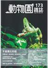 動物園雜誌173期-千變萬化的龍