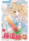 極道甜心-3