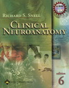 Clinical Neuroanatomy