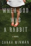 When God Was a Rabbit: A Novel