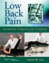Low back pain : mechanism， diagnosis， treatment