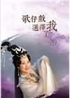 歌仔戲選擇了我─許秀年DVD