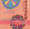 神奇的曼陀羅：心靈舒壓彩繪書（單書版）[線圈版]