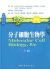 分子細胞生物學(上)精