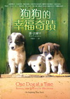 狗狗的幸福奇蹟