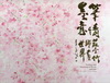 筆情墨意-莊壹竹繪畫世界 [精裝]