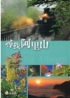尋找阿里山(軟精裝)