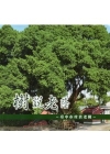 樹說老蔭-臺中市珍貴老樹-軟精裝
