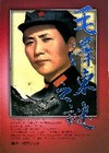 毛澤東之謎