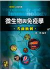 微生物與免疫學考前衝刺 -護理師