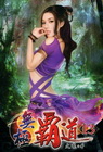 無極霸道 13
