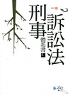 刑事訴訟法體系書〈上〉--司法三等/律師[9L01]