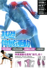 基礎伸展運動 從基礎開始學起