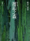 邂逅之森-故事盒子30