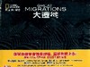 大遷徙[精]